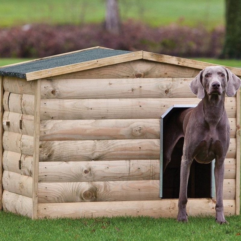 Tuindeco Labrador búda pre psa 119 x 86 x 93 cm